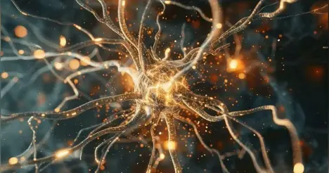 The moment of signal, Neuron Firing 